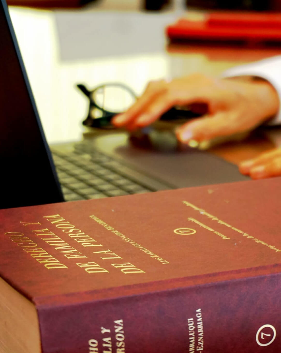 VirginiaLorenteAbogada_nacional